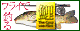 80 x 31 pixel