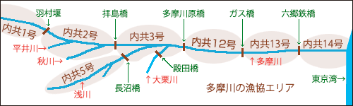 多摩川の内水面遊魚規則