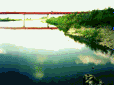 川原の風景-1