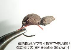 BYNtCŎg[BF Beetle]