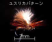 XJp^[