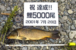 5,000