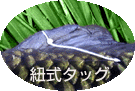 R^bO