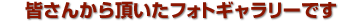 tHgM[