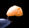 tC-2