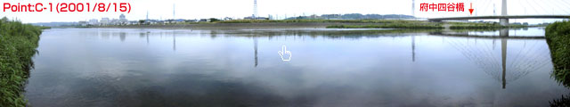 Point C-1-1