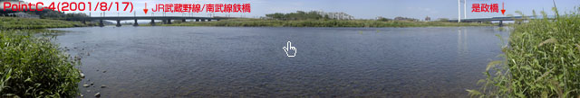 Point C-4-4-2