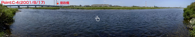 Point C-4-5