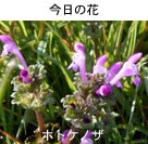 zgPmU