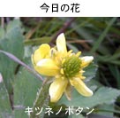 Lclm{^