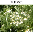 J~c(J~[)