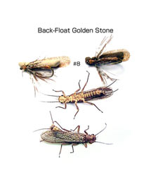 Golden Stone
