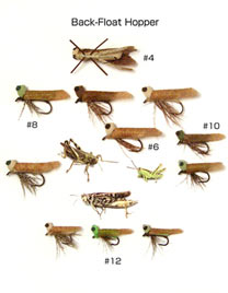 Caddis