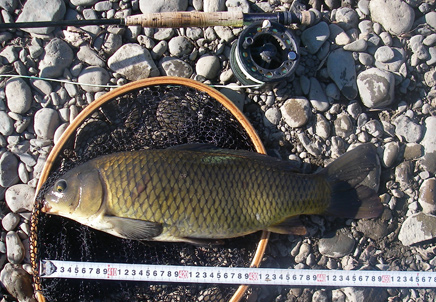 2009N̏