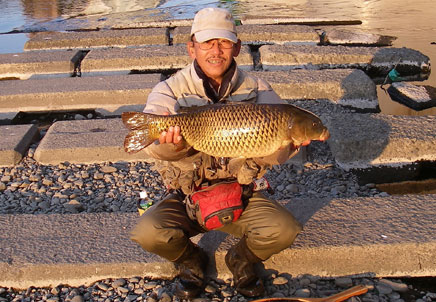 E݂Œނꂽ68cm