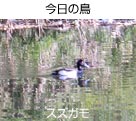 XYK