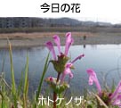 zgPmU