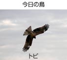 ̒