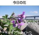 IIAZCgE