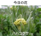 nnROT