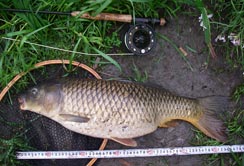 dʊ̂70cm