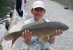 65cm̗hȃRC
