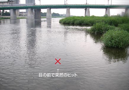 ڂ̑OœˑR킹