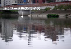ǂ