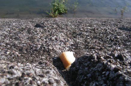 ݕӂɎcĂT[`p̃pBN낤H