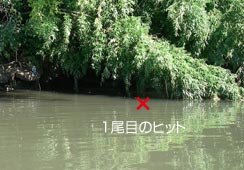 Pڂ͊Jn