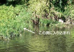 ||̉ɓ荞݁EE