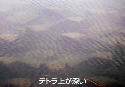 [eg̓[