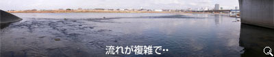 Gȗ𗝉̂ɎԂ|