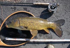 X^Ĉ63cm