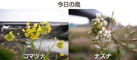 ̉