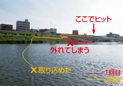 ̏ォQqbĝ
