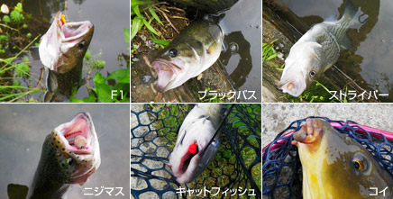USe