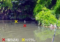 JnX̂PɋC