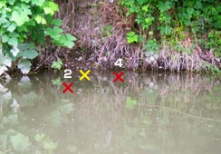 Ғʂ蔽͗ǂ