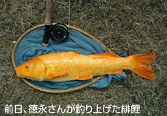 i4xނグ