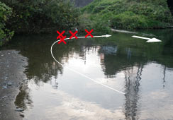 TCỸAł