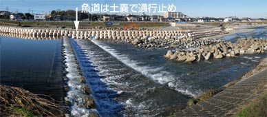 邩MȂʓIɔނł