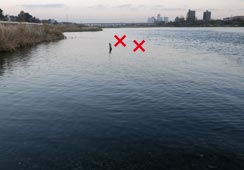 eC|CgłQA