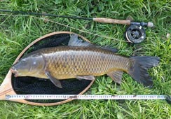 ̓ő72cm
