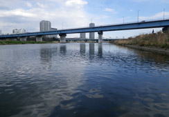 mASRȂIv