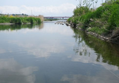 Ȃȃv[ʂ