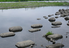 Lcp̍_