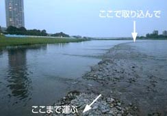 ̐[RC^ŎBe