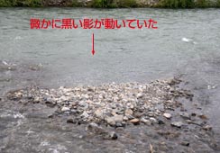 ̗o̊Ԃ̋Xy[X