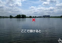 ̃|CgŃqbgƎBeꏊ